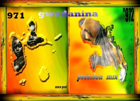 GWADININA